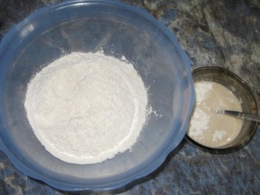 Pizza facuta in casa- Ramona 1