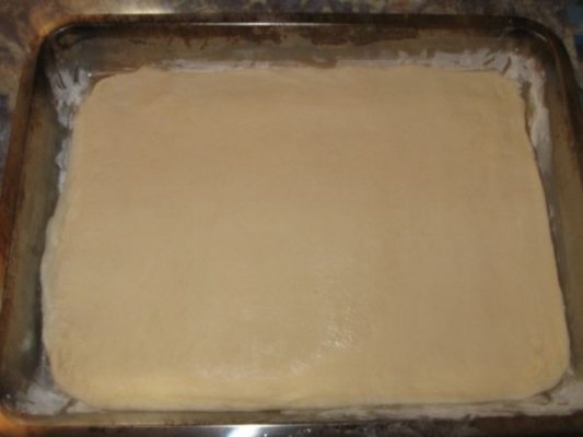 Pizza facuta in casa- Ramona 1