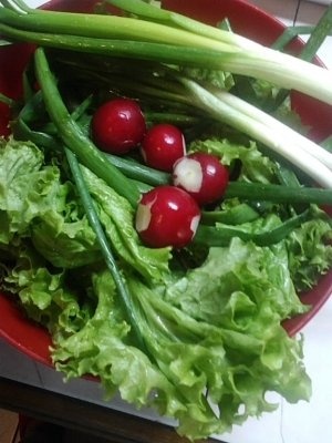 Salata verde cu smantana
