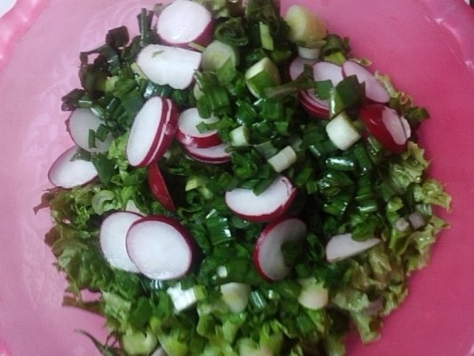 Cascaval pane cu salata verde si cartofi prajiti