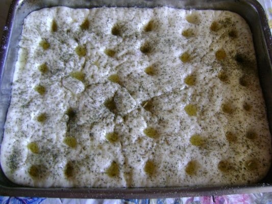 Foccacia