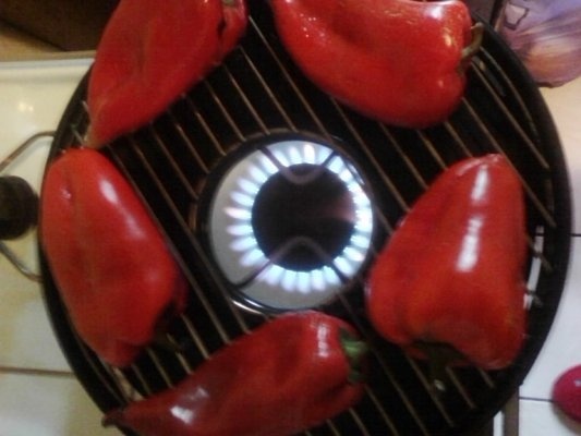 Pulpe impanate si garnitura