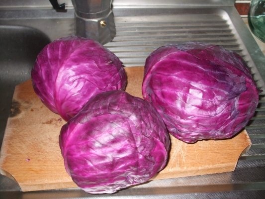 Varza rosie pentru iarna