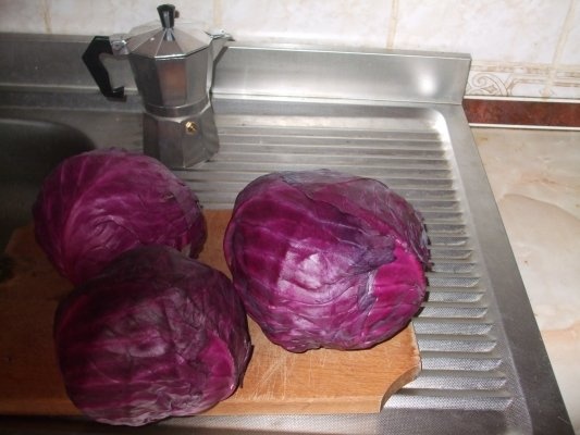 Varza rosie pentru iarna