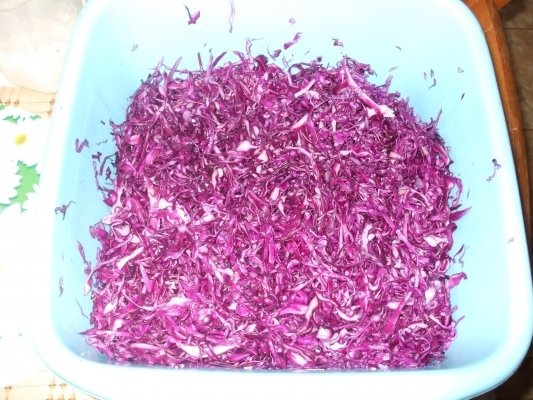 Varza rosie pentru iarna