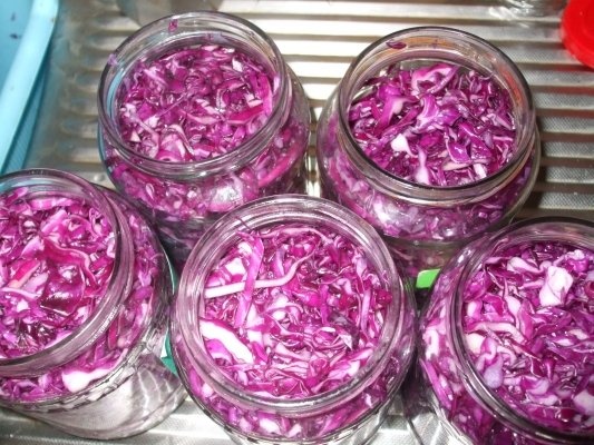 Varza rosie pentru iarna