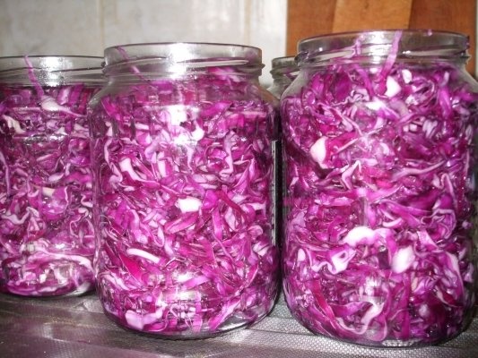 Varza rosie pentru iarna