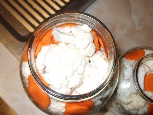 Conopida pentru iarna