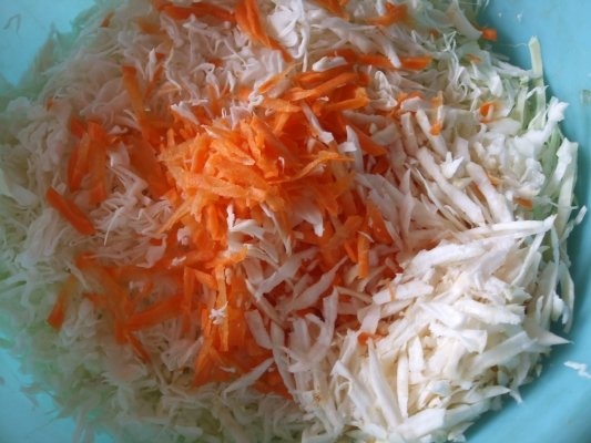 Gogosari umpluti cu varza