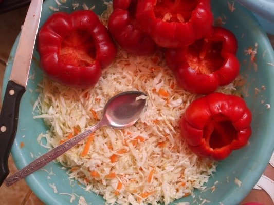 Gogosari umpluti cu varza