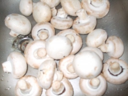 Ciulama de ciuperci la Doubletta