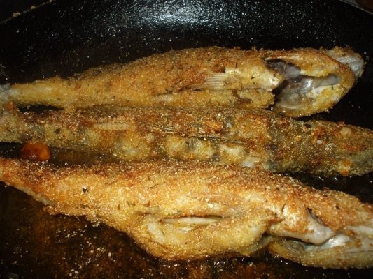 Salau prajit cu usturoi