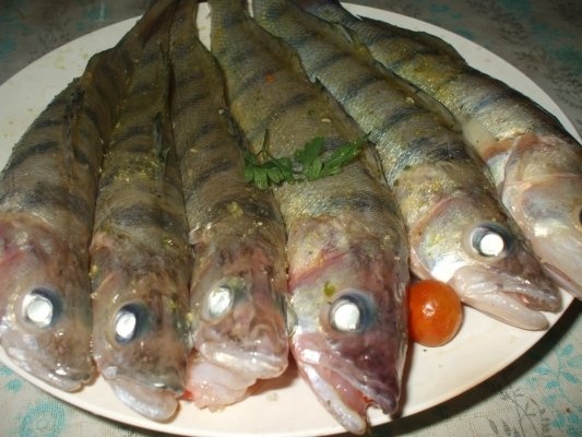 Salau prajit cu usturoi