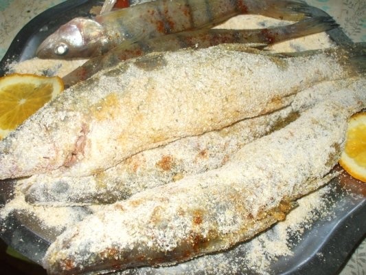 Salau prajit cu usturoi