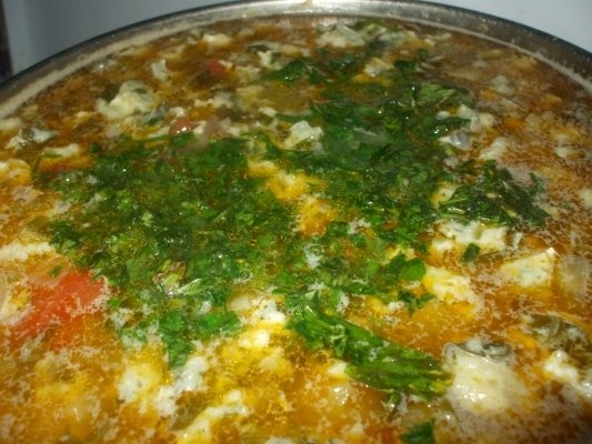 Ciorba de aripa de curcan cu zdrente de spanac