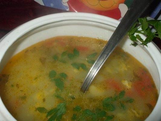 Ciorba de aripa de curcan cu zdrente de spanac