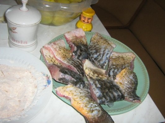 Crap prajit, cu sos de usturoi