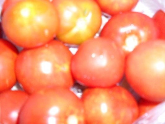 ROSII CONGELATE PT GATIT