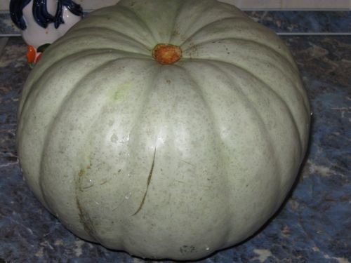 Dovleac copt (dublete, bostan sau ludau)