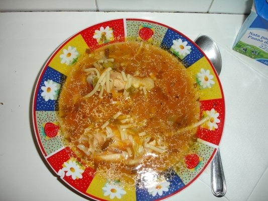 Ciorba de pui