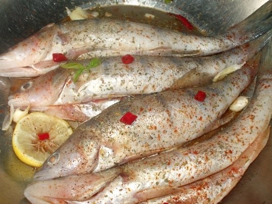 Salau marinat la cuptor