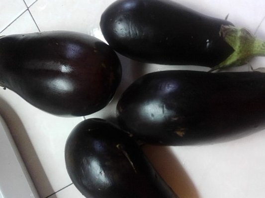 Vinete pentru musaca