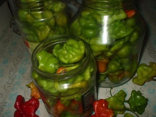Ardei decorativi picanti in otet