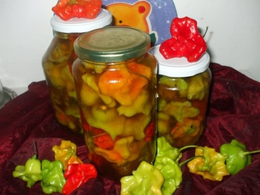 Ardei decorativi picanti in otet