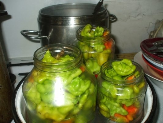 Ardei decorativi picanti in otet