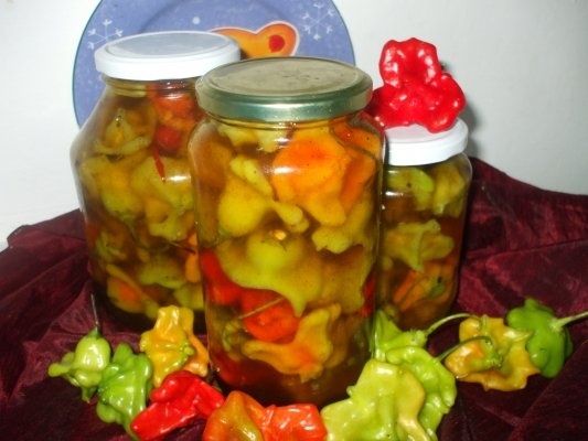 Ardei decorativi picanti in otet