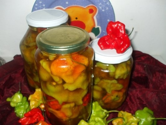 Ardei decorativi picanti in otet