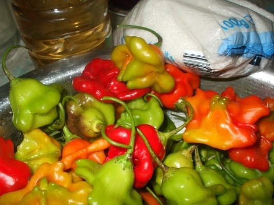 Ardei decorativi picanti in otet