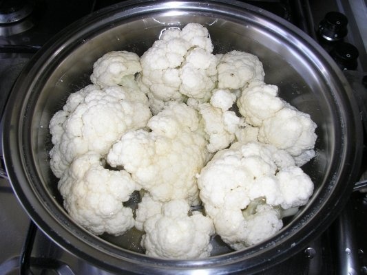 Mancarica de conopida cu pui