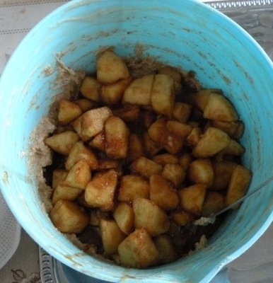 Prajitura cu mere (torta di mele)