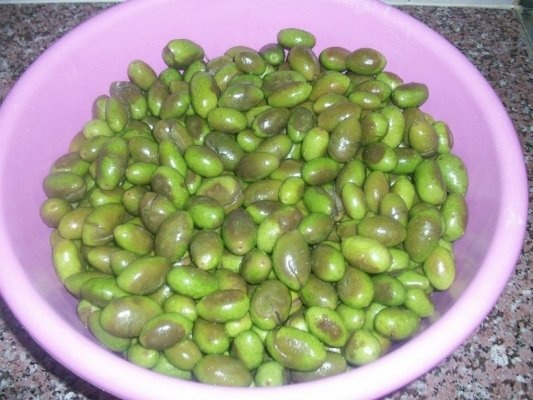 Masline verzi murate