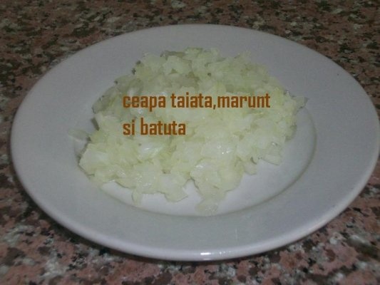 Conopida pane (arabeasca)