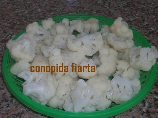 Conopida pane (arabeasca)