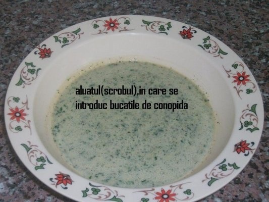 Conopida pane (arabeasca)