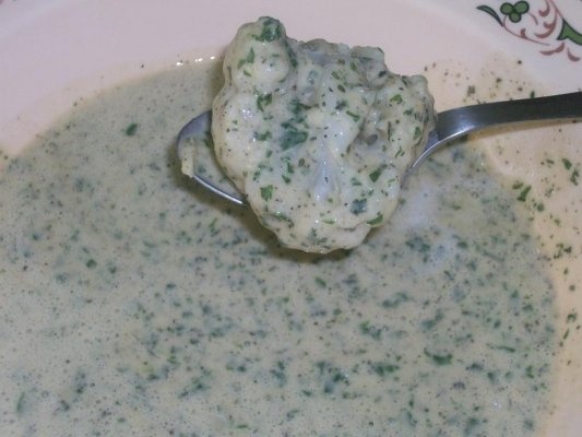 Conopida pane (arabeasca)