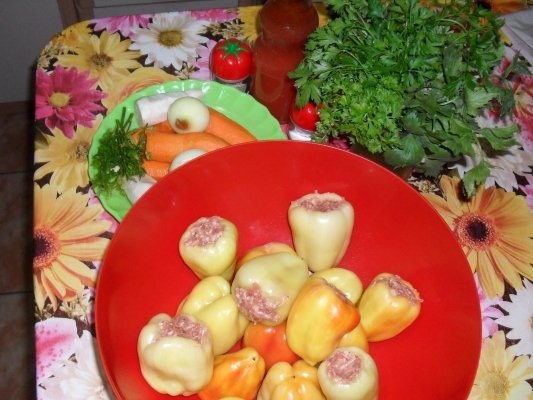 ARDEI GRAS CONGELAT PT CIORBA