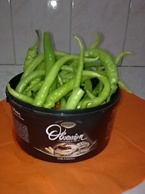 Rosii cu telina si ardei iute pentru ciorbe