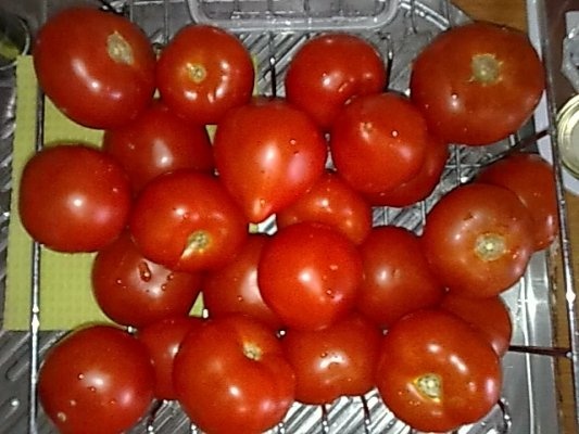 Rosii cu telina si ardei iute pentru ciorbe