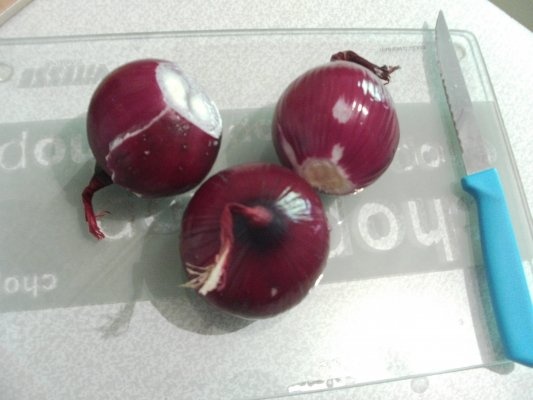 Cartofi gratinati cu parmesan ceapa rosie si susan