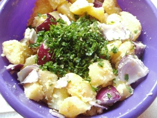 Cartofi gratinati cu parmesan ceapa rosie si susan