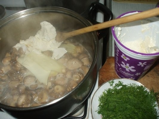 Ciuperci cu cascaval, branza topita si smantana