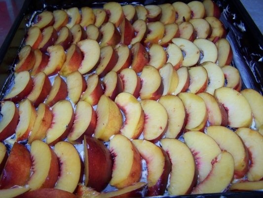 Prajitura cu nectarine .