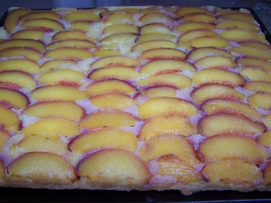 Prajitura cu nectarine .