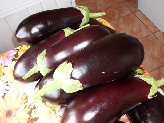 ZACUSCA MEA DE VINETE