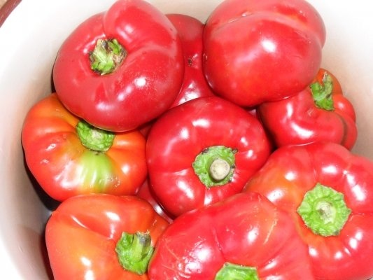 ZACUSCA MEA DE VINETE