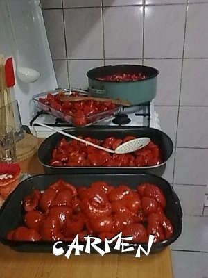 Gogosari a la dicarmencitta